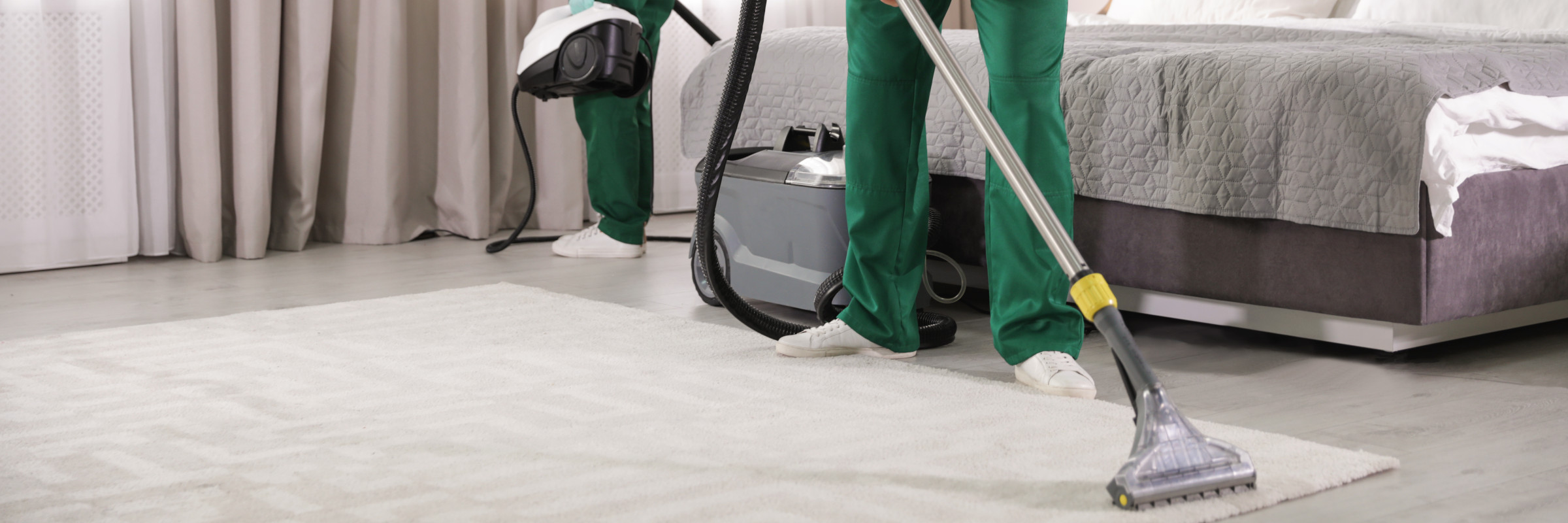 Large upholstery and carpet cleaner